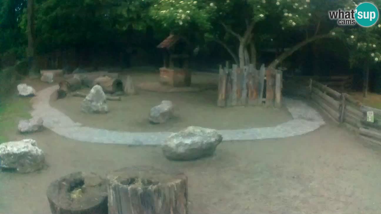 Zoo Zagreb –  Mono maicero