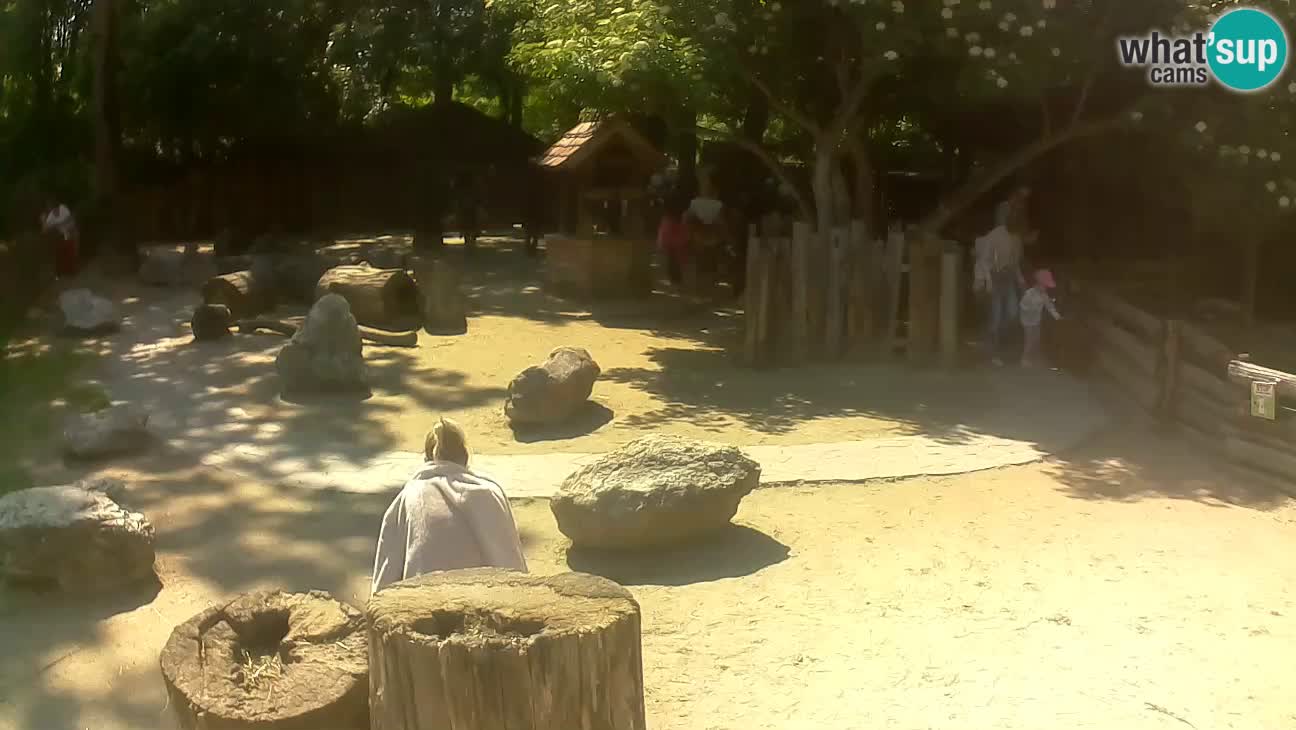 Zoo Zagreb – Cebo dai cornetti