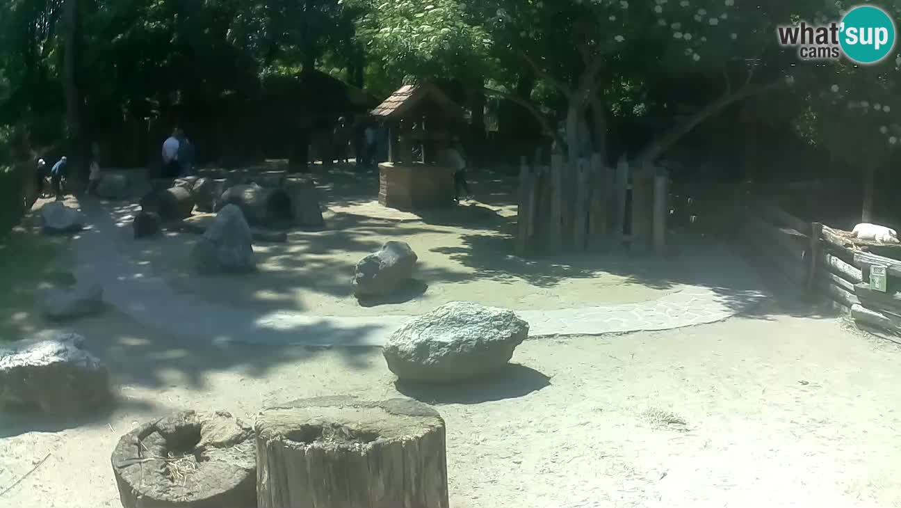 Zoo Zagreb – Haubenkapuziner