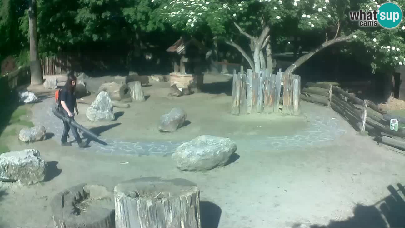 Zoo Zagreb –  Mono maicero