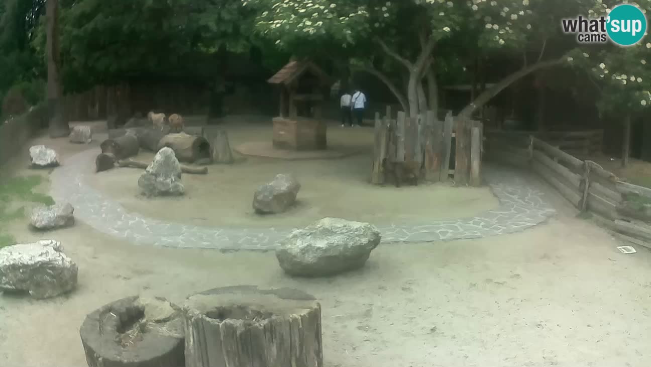 Zoo Zagreb –  Mono maicero
