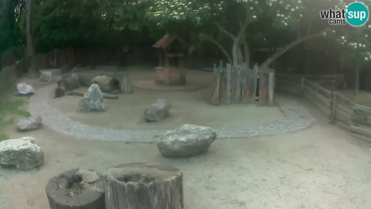 Zoo Zagreb –  Mono maicero