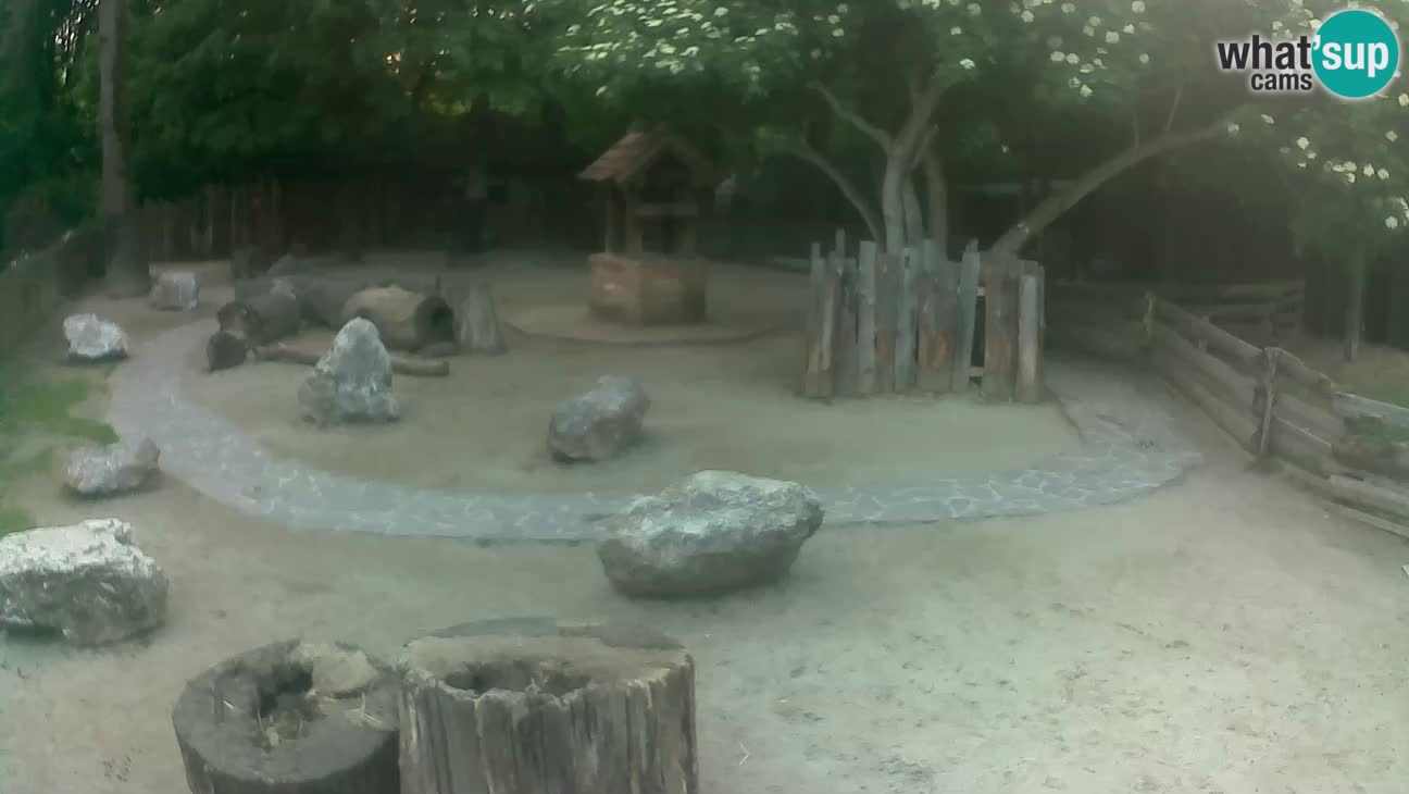 Zoo Zagreb – Haubenkapuziner