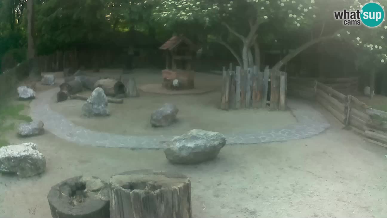 Zoo Zagreb – Cebo dai cornetti