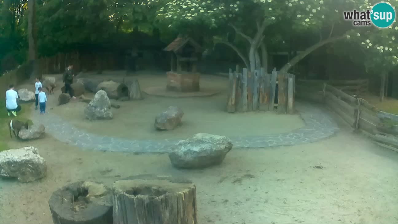 Zoo Zagreb – Cebo dai cornetti