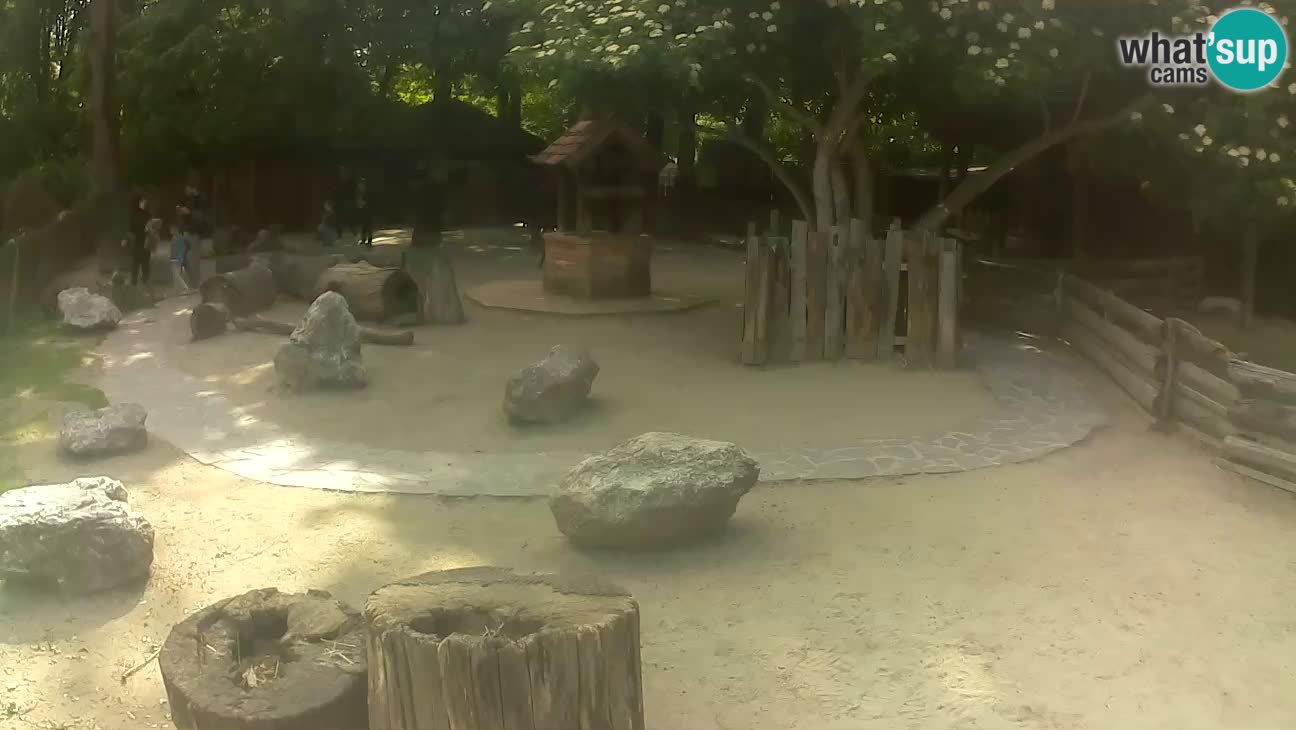 Zoo Zagreb –  Mono maicero