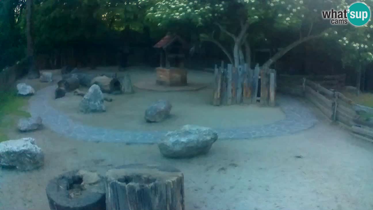 Zoo Zagreb –  Mono maicero