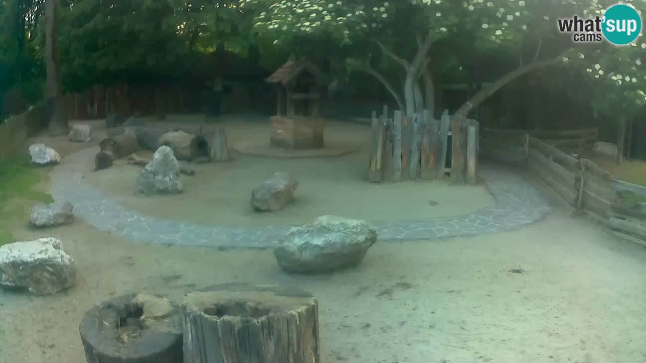 Zoo Zagreb – Cebo dai cornetti