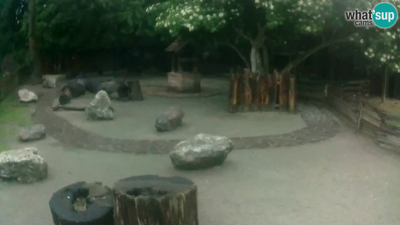Zoo Zagreb –  Mono maicero