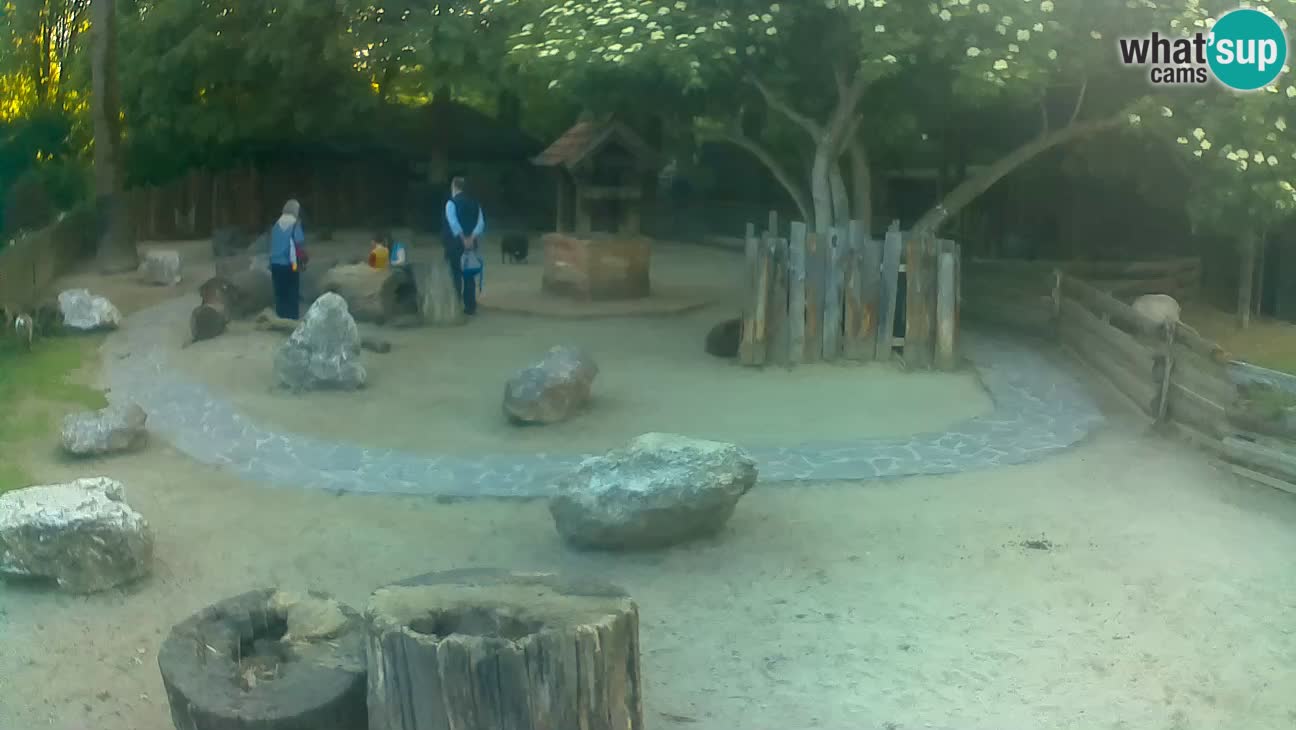 Zoo Zagreb – Haubenkapuziner