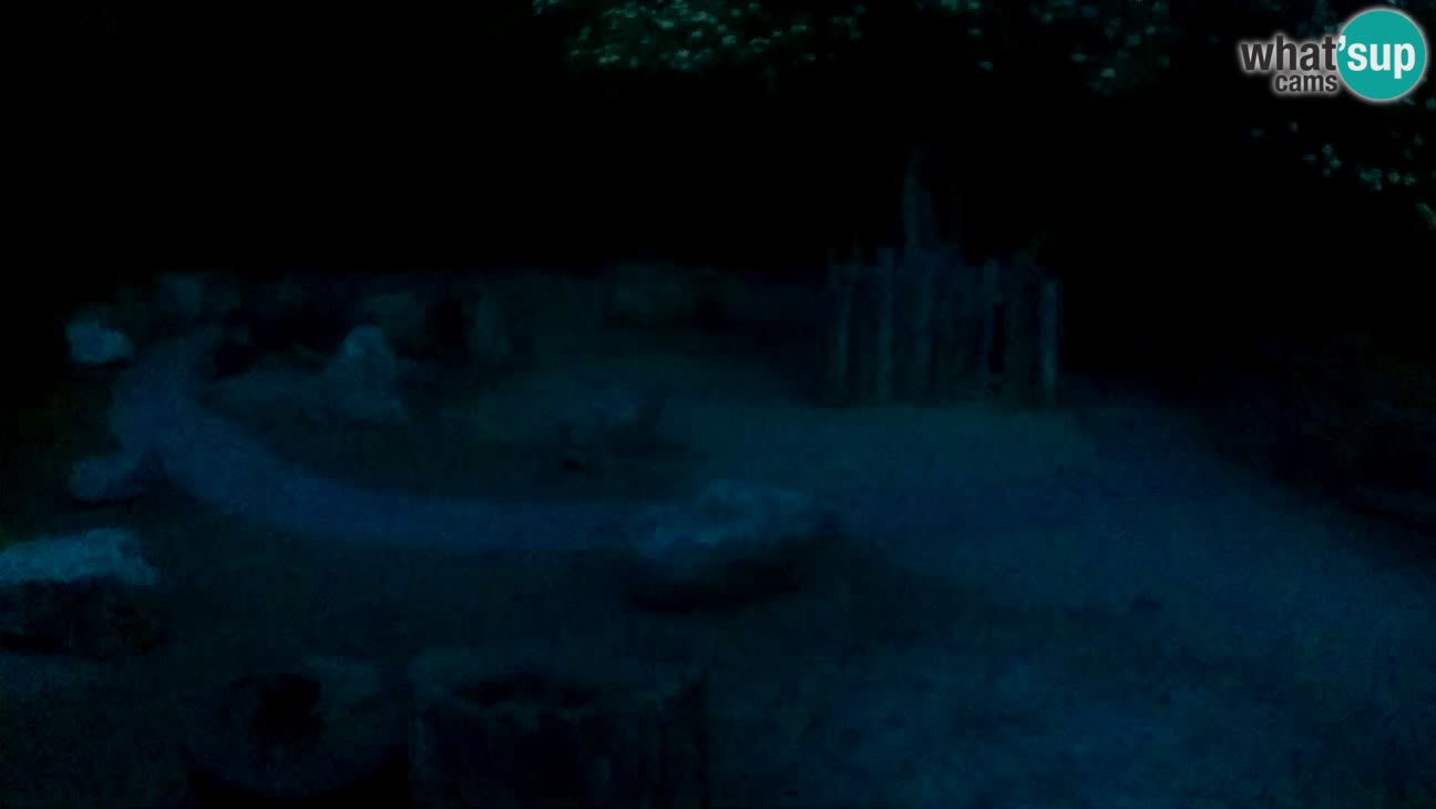 Zoo Zagreb –  Mono maicero