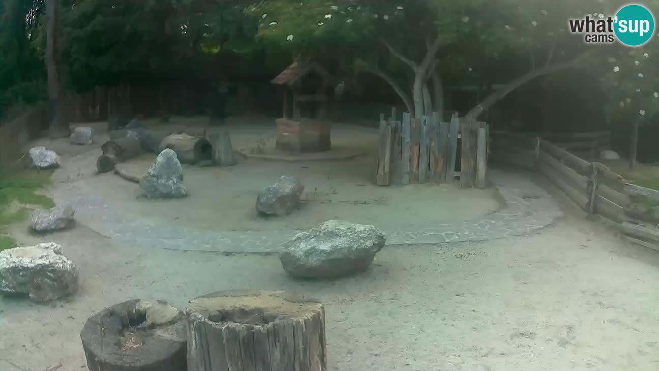 Zoo Zagreb –  Mono maicero