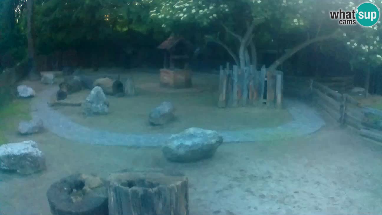 Zoo Zagreb – Cebo dai cornetti