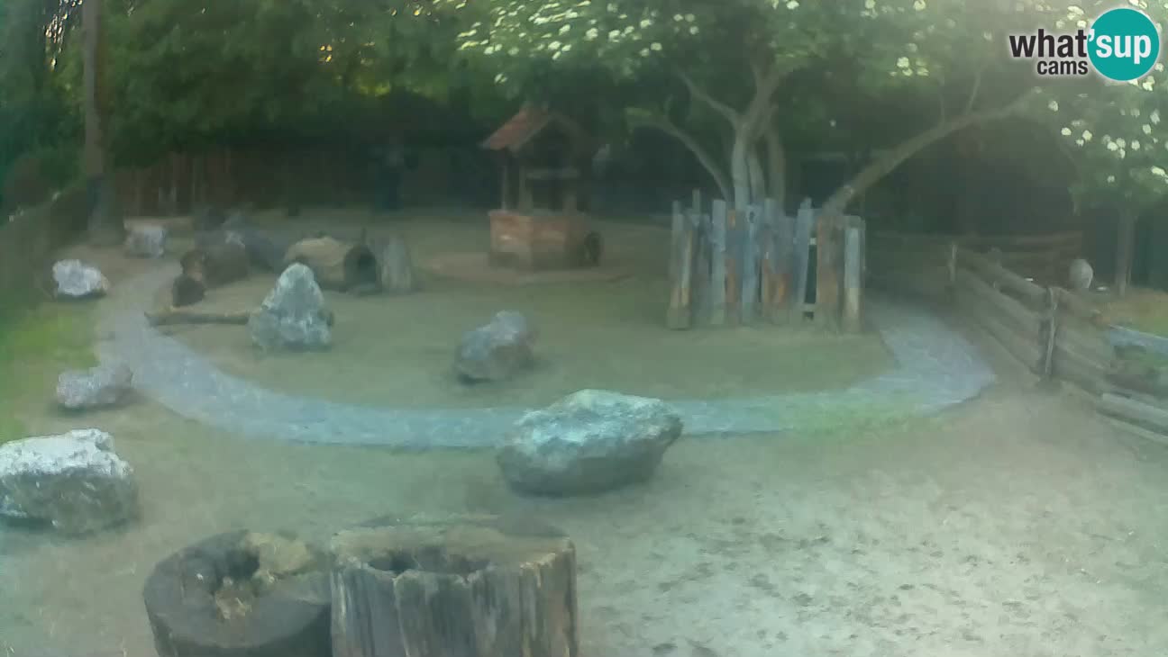 Zoo Zagreb – Cebo dai cornetti