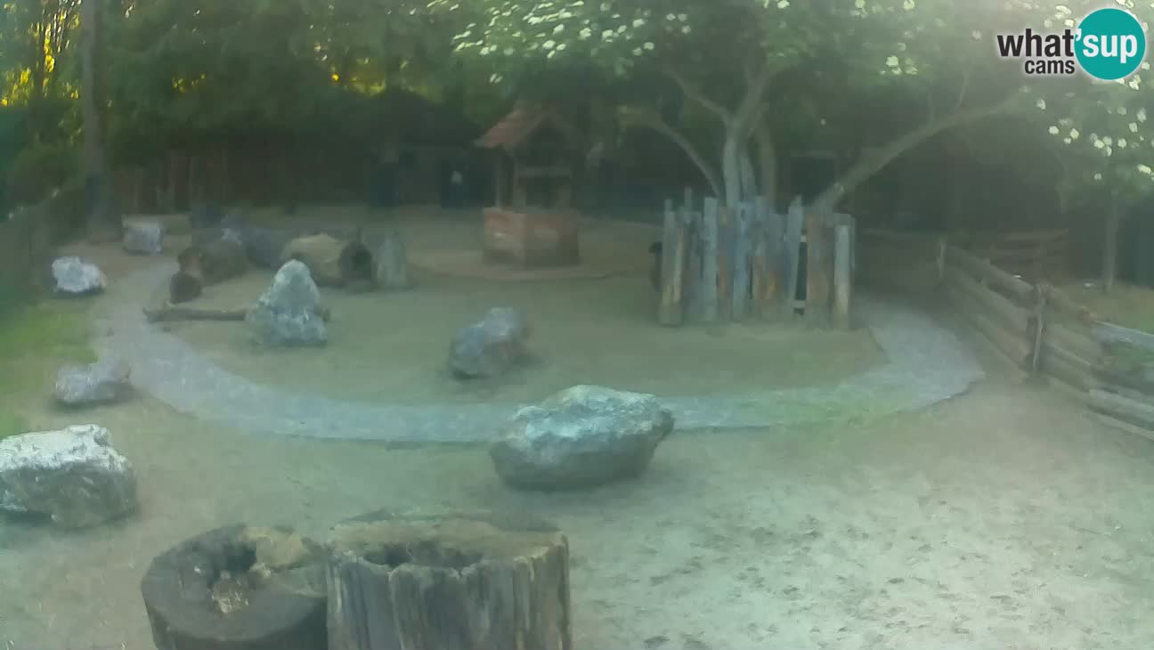 Zoo Zagreb – Cebo dai cornetti
