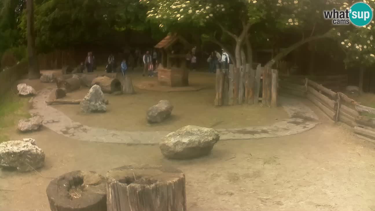 Zoo Zagreb – Cebo dai cornetti