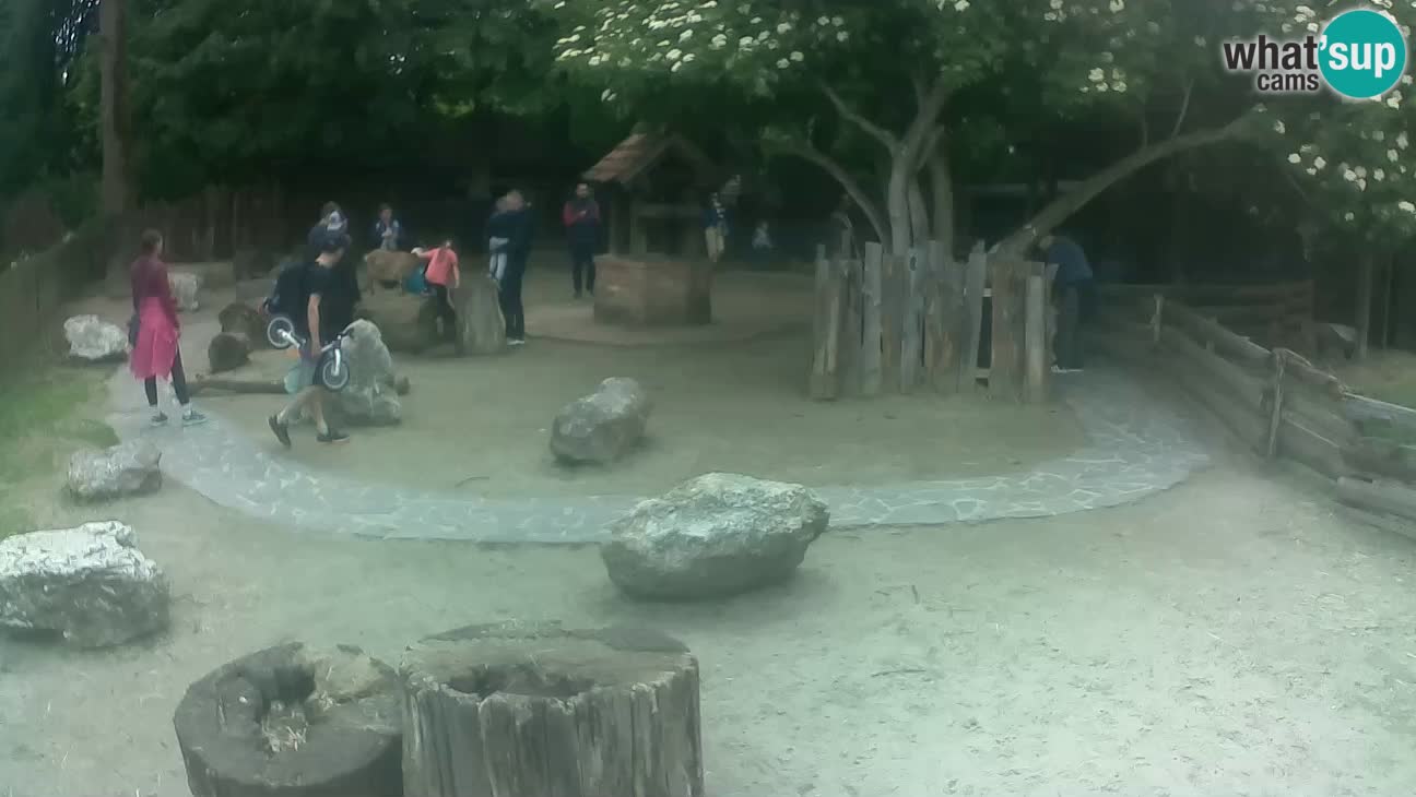 Zoo Zagreb – Haubenkapuziner