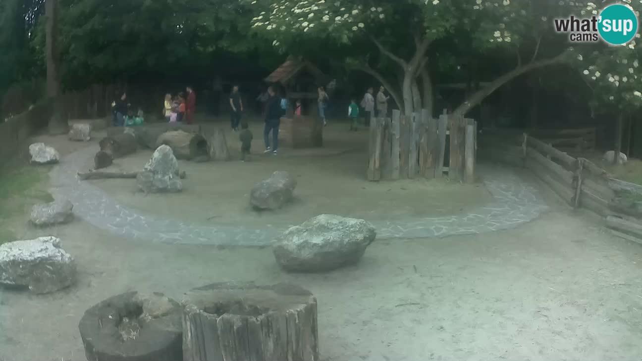 Zoo Zagreb – Haubenkapuziner