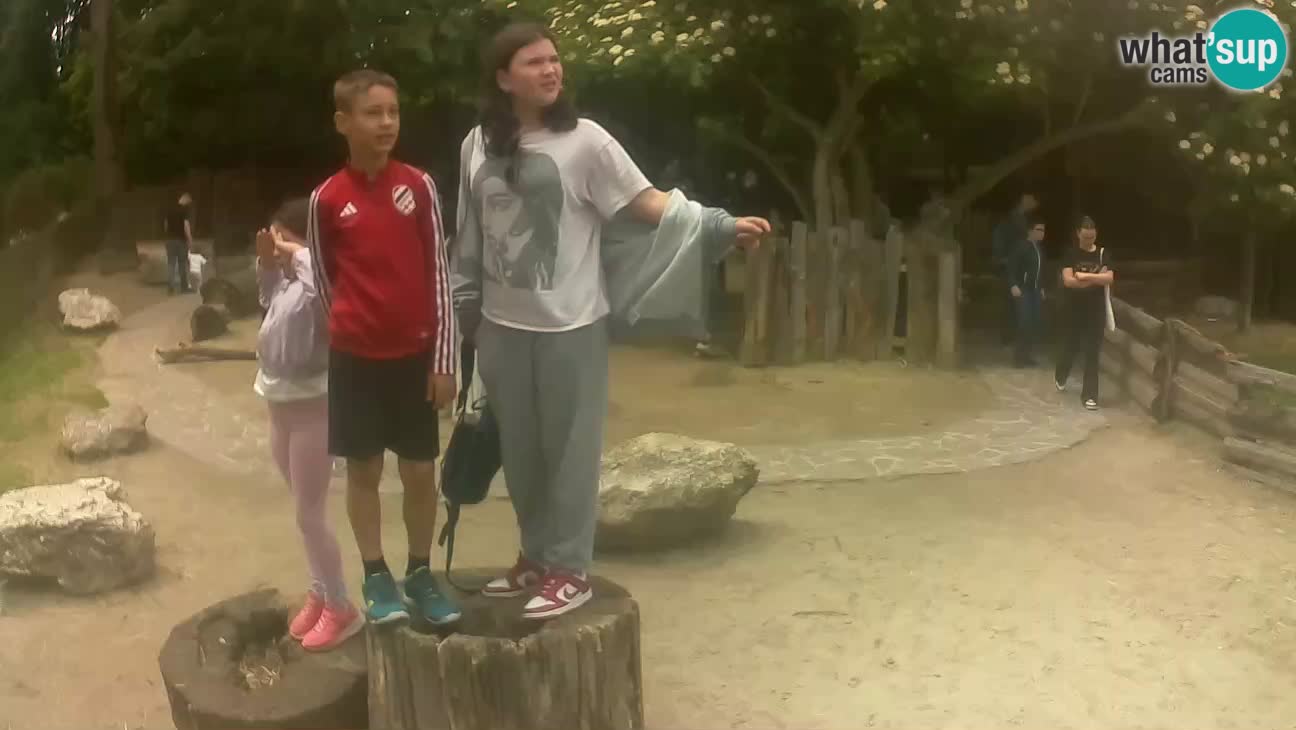 Zoo Zagreb – Cebo dai cornetti