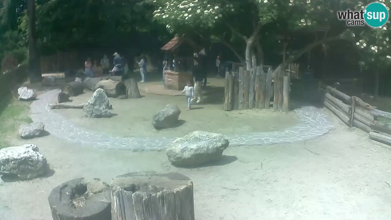 Zoo Zagreb – Cebo dai cornetti