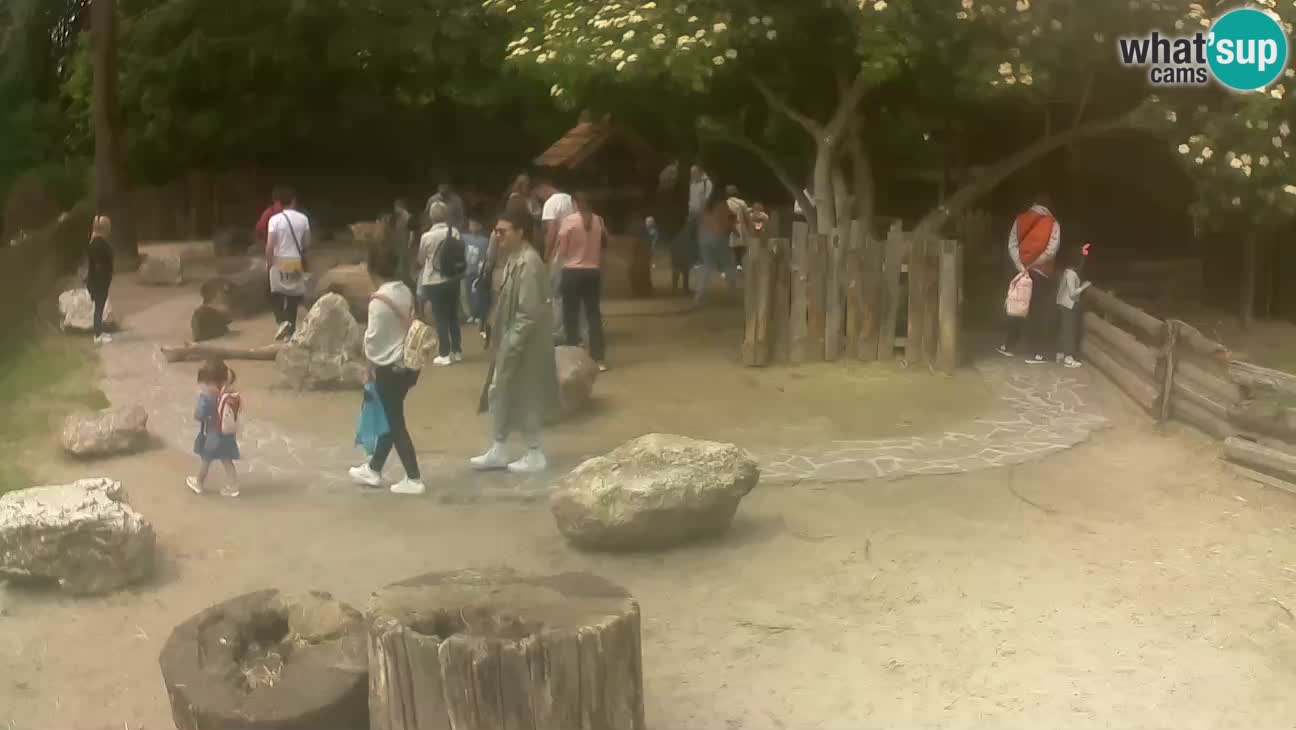 Zoo Zagreb – Cebo dai cornetti