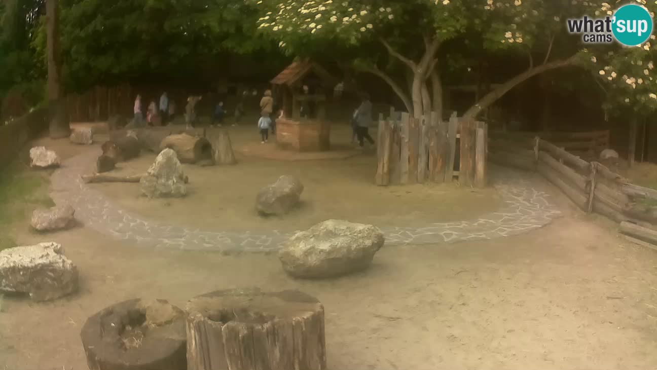 Zoo Zagreb – Cebo dai cornetti