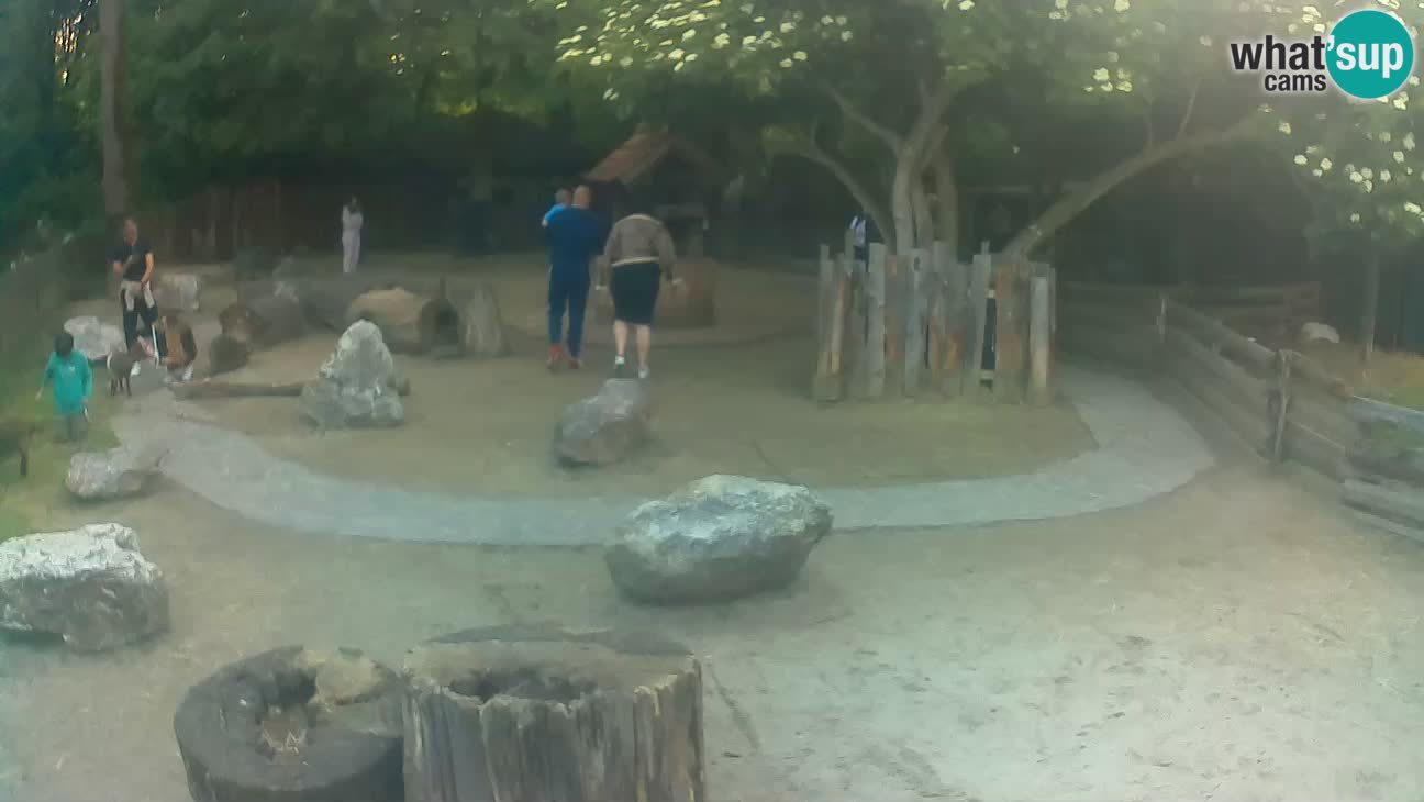 Zoo Zagreb – Cebo dai cornetti