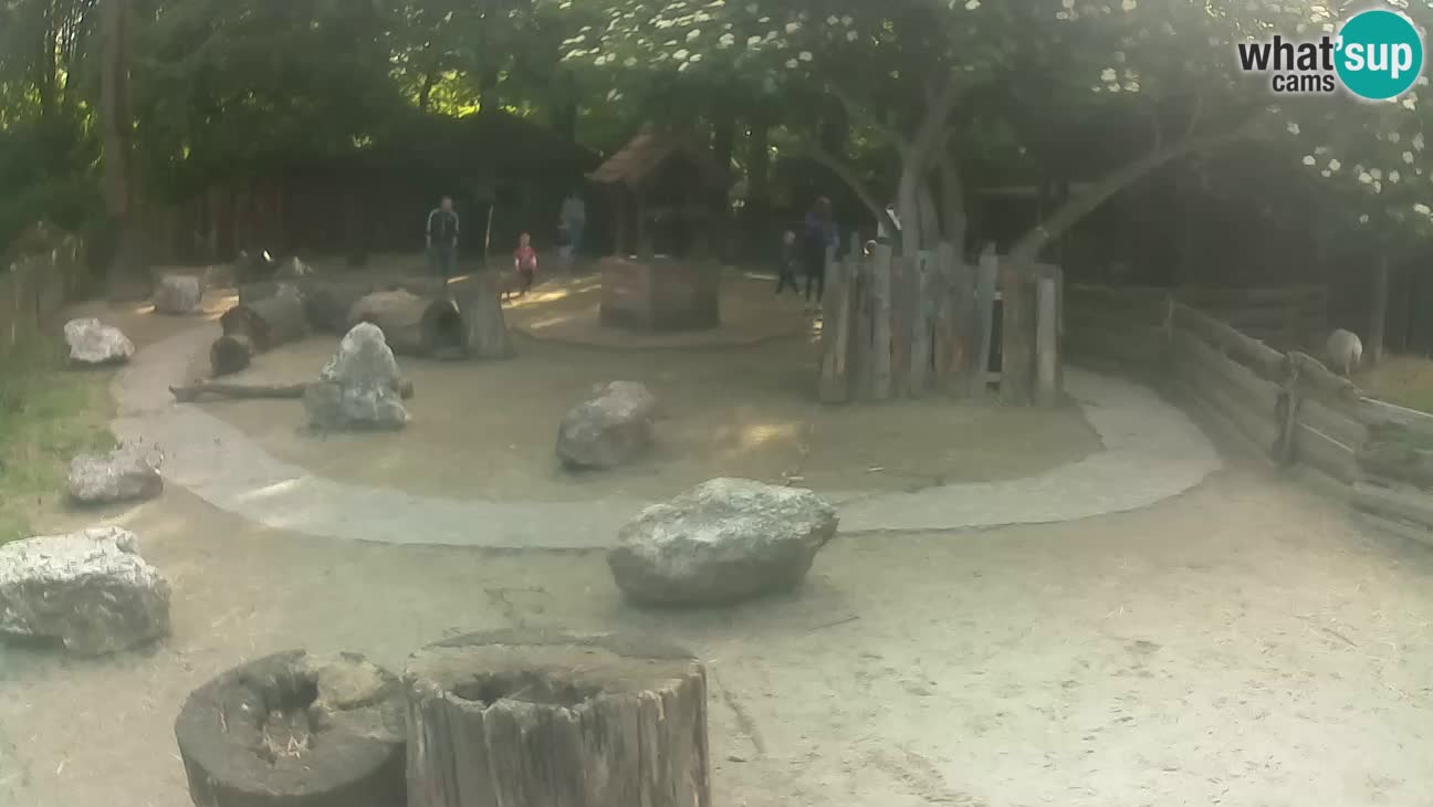 Zoo Zagreb –  Mono maicero