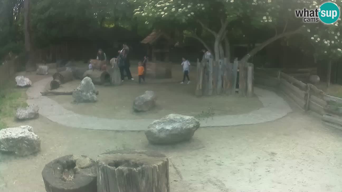 Zoo Zagreb – Cebo dai cornetti