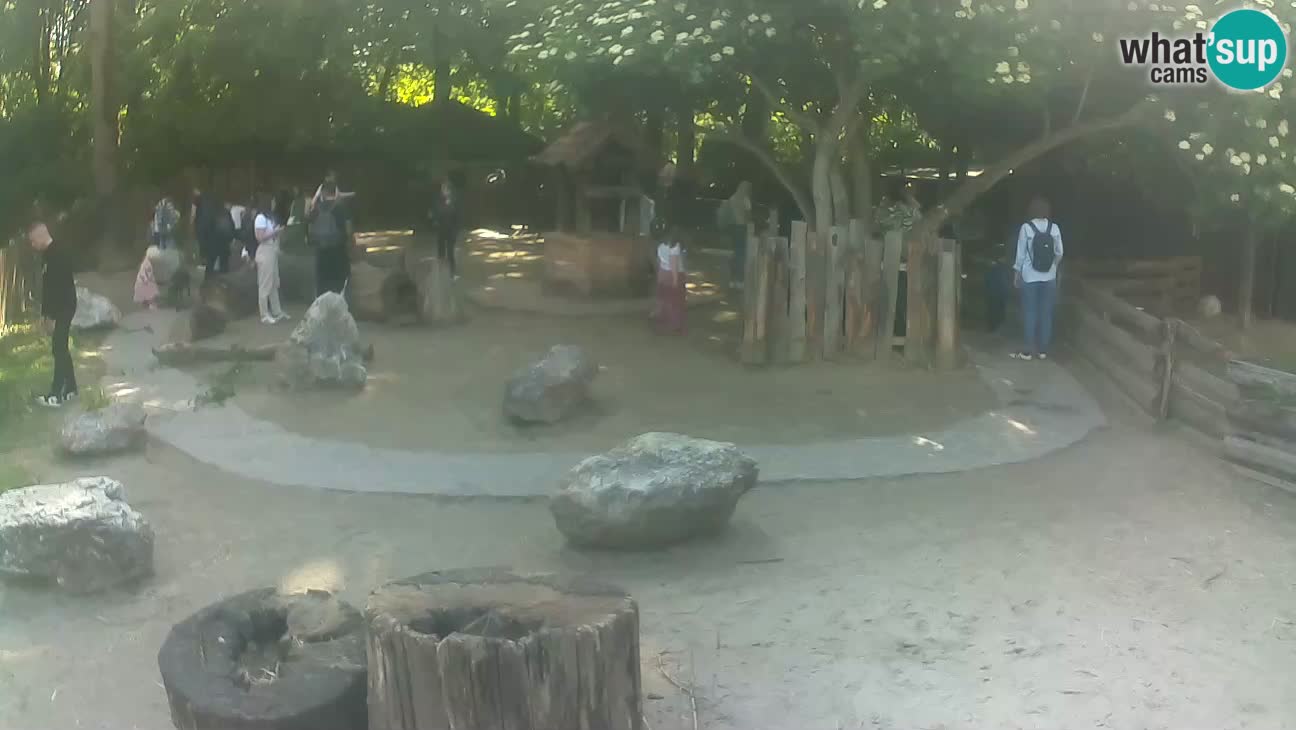 Zoo Zagreb – Cebo dai cornetti