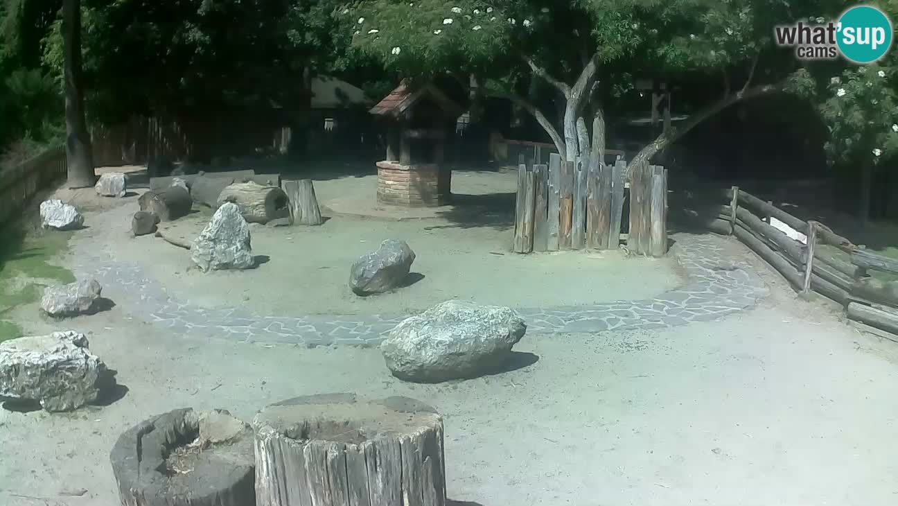 Zoo Zagreb – Cebo dai cornetti