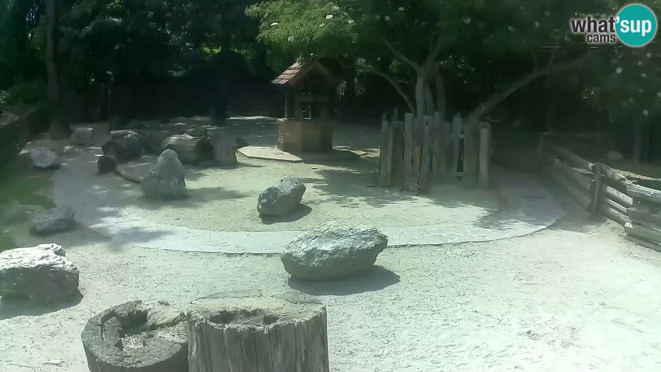 Zoo Zagreb – Cebo dai cornetti
