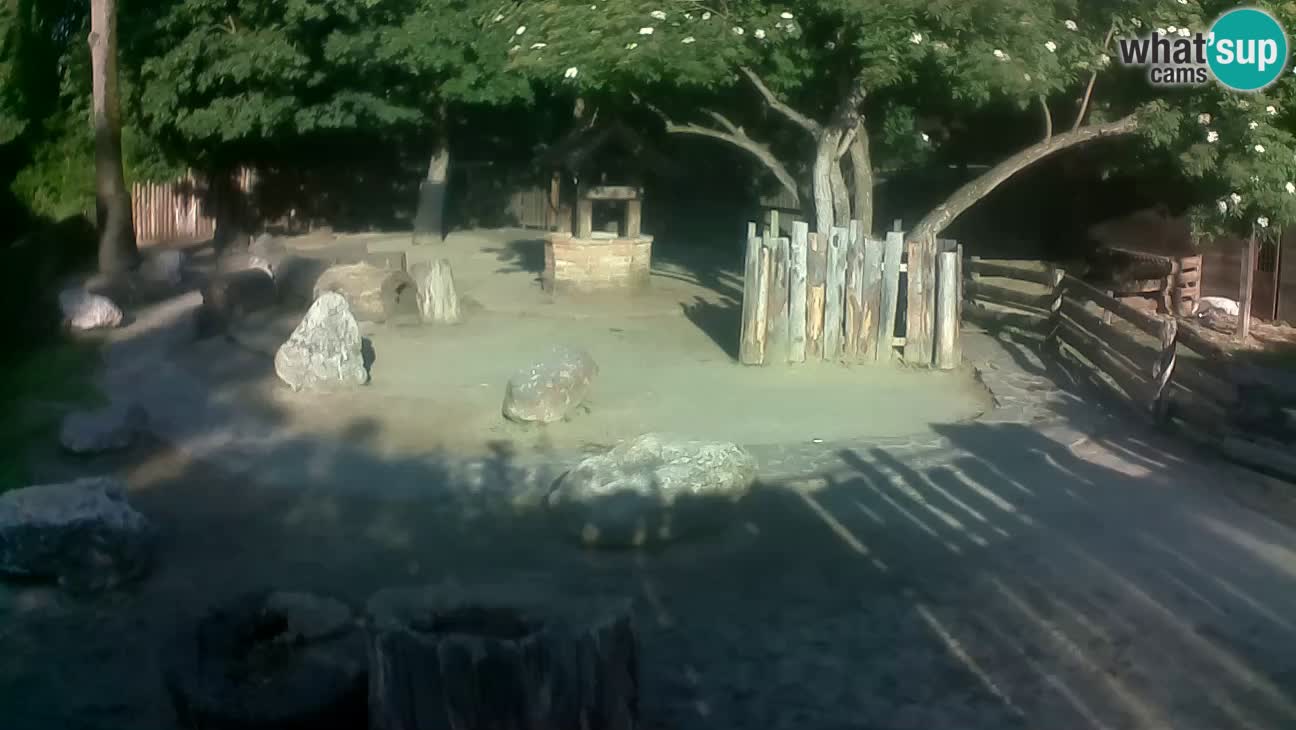 Zoo Zagreb –  Mono maicero