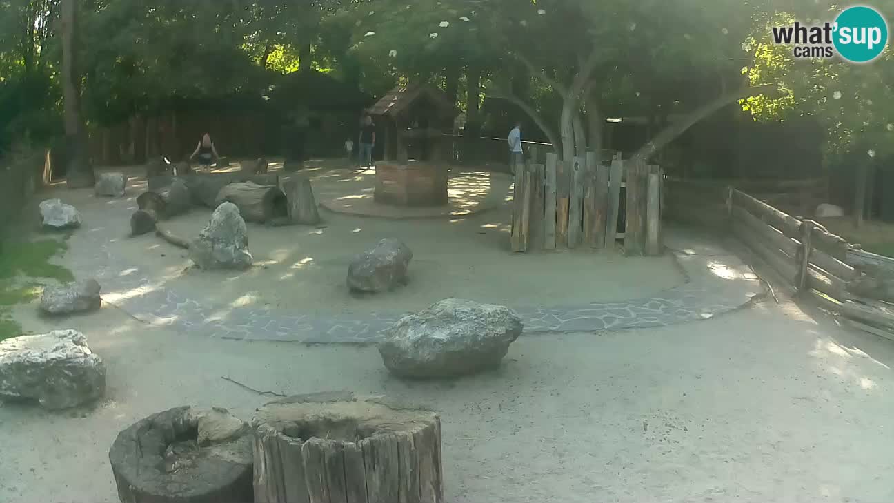 Zoo Zagreb – Haubenkapuziner