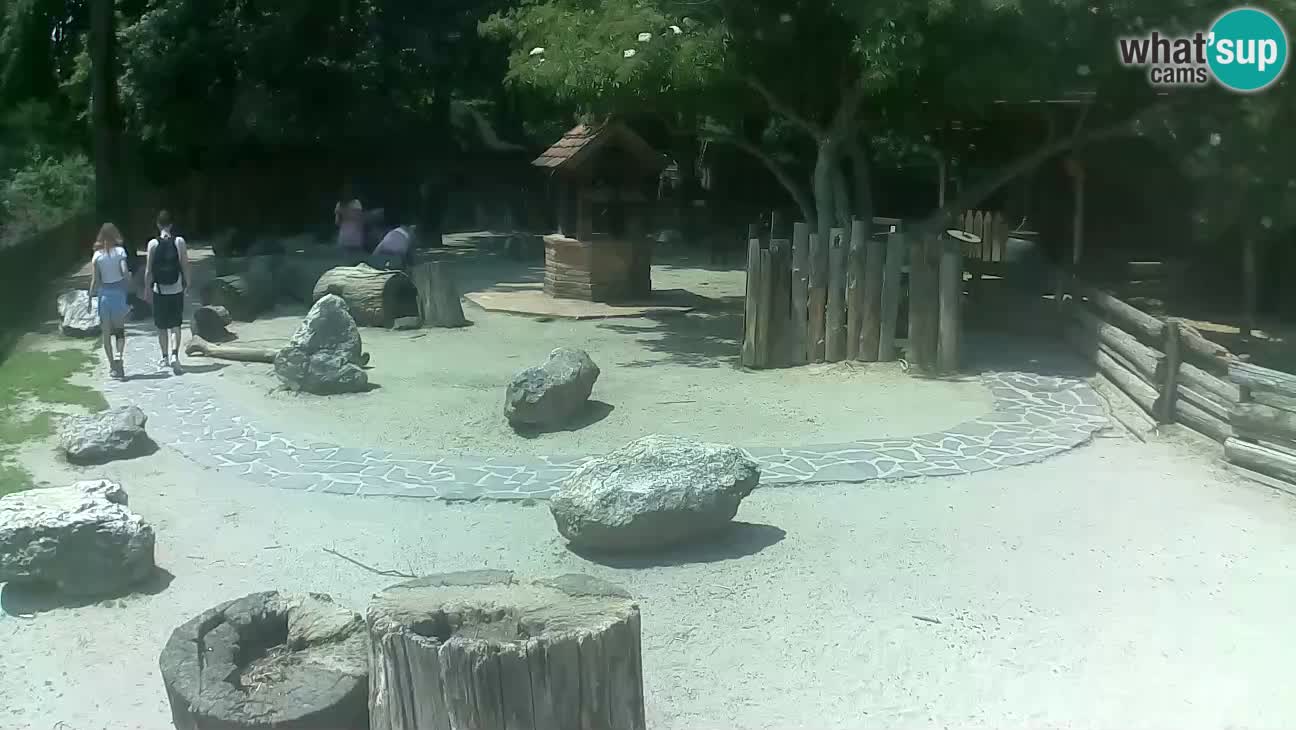 Zoo Zagreb –  Mono maicero