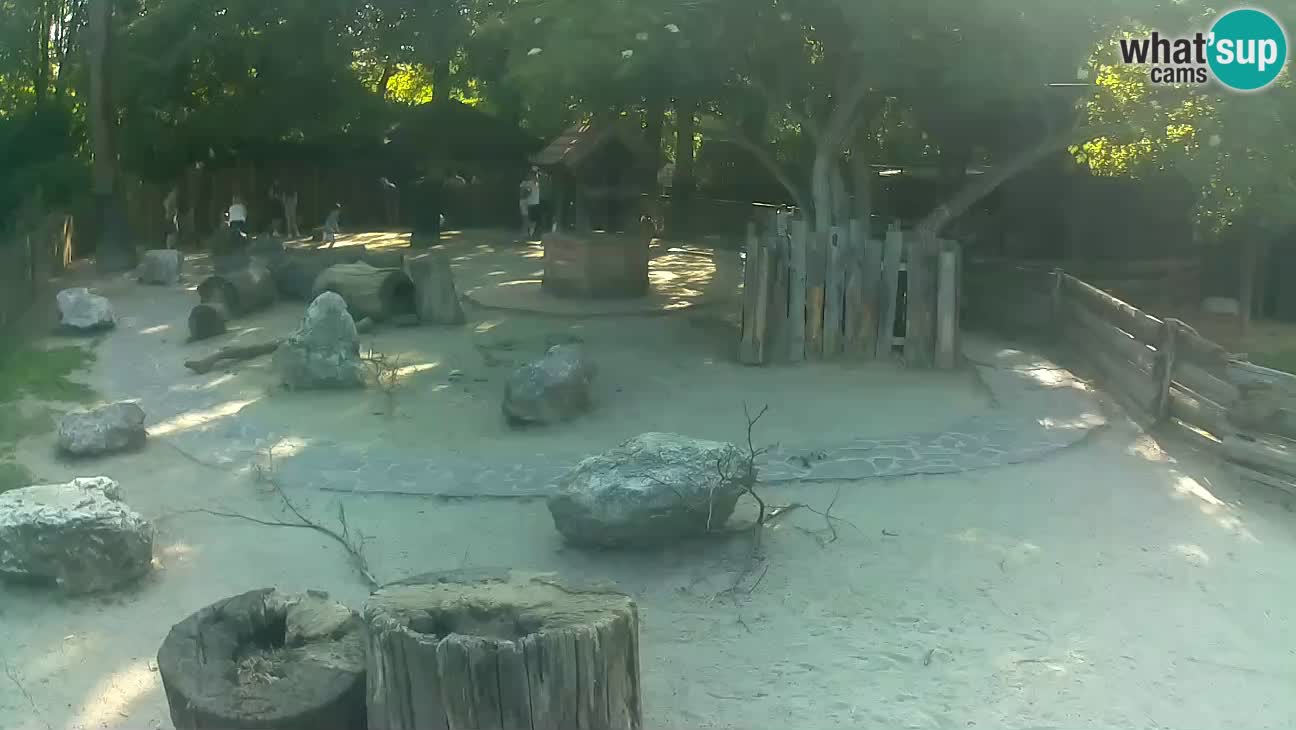 Zoo Zagreb – Cebo dai cornetti