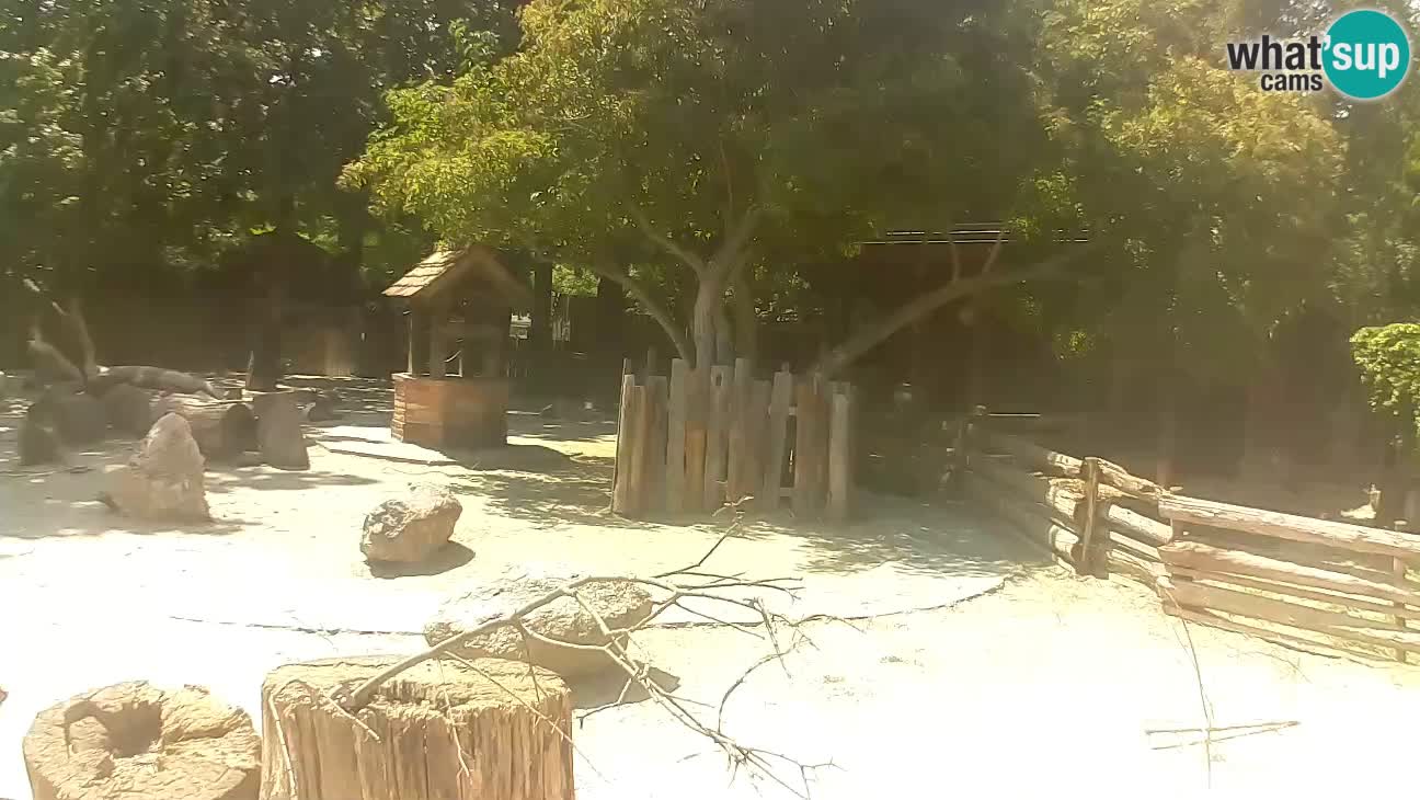 Zoo Zagreb – Cebo dai cornetti