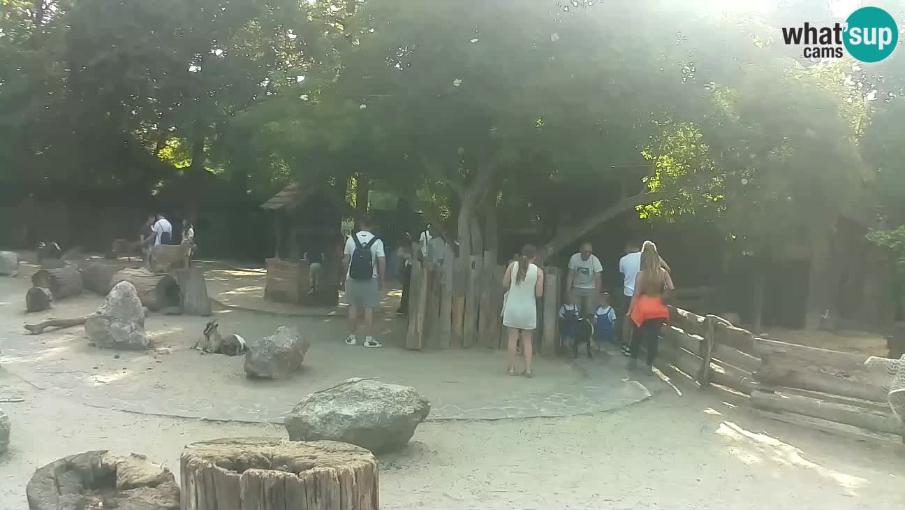 Zoo Zagreb – Cebo dai cornetti