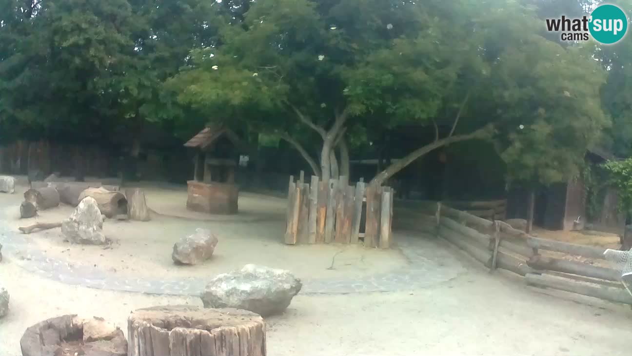 Zoo Zagreb – Cebo dai cornetti