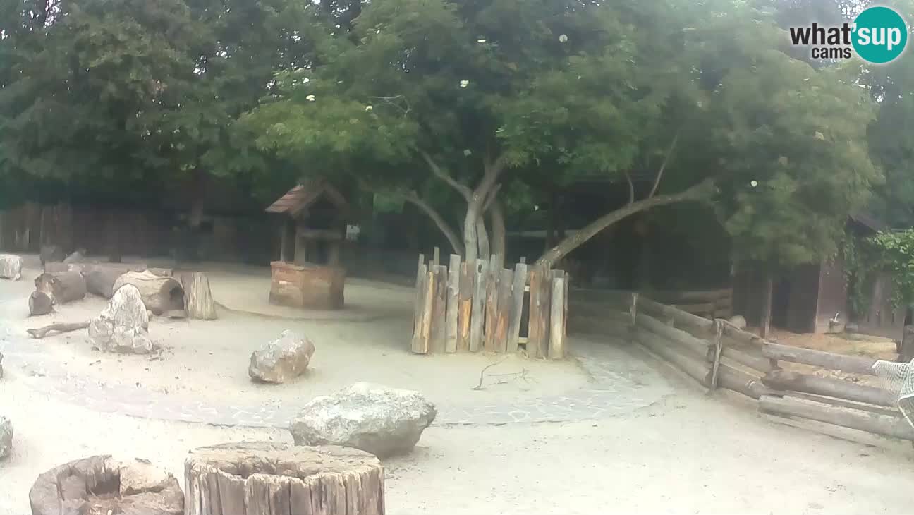 Zoo Zagreb – Haubenkapuziner