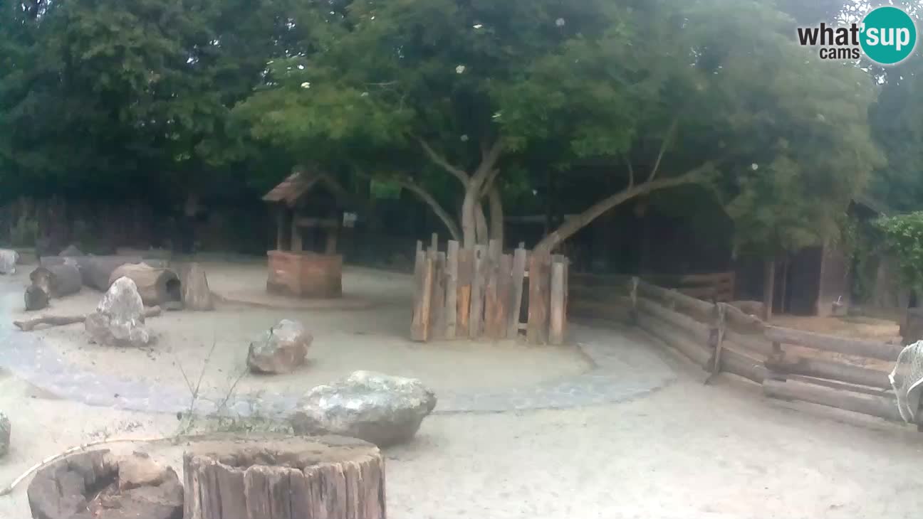 Zoo Zagreb –  Mono maicero