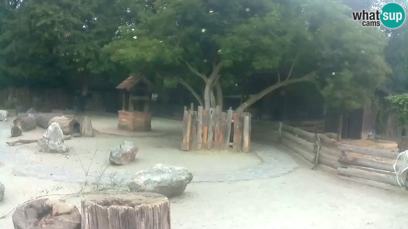 Zoo Zagreb – Cebo dai cornetti