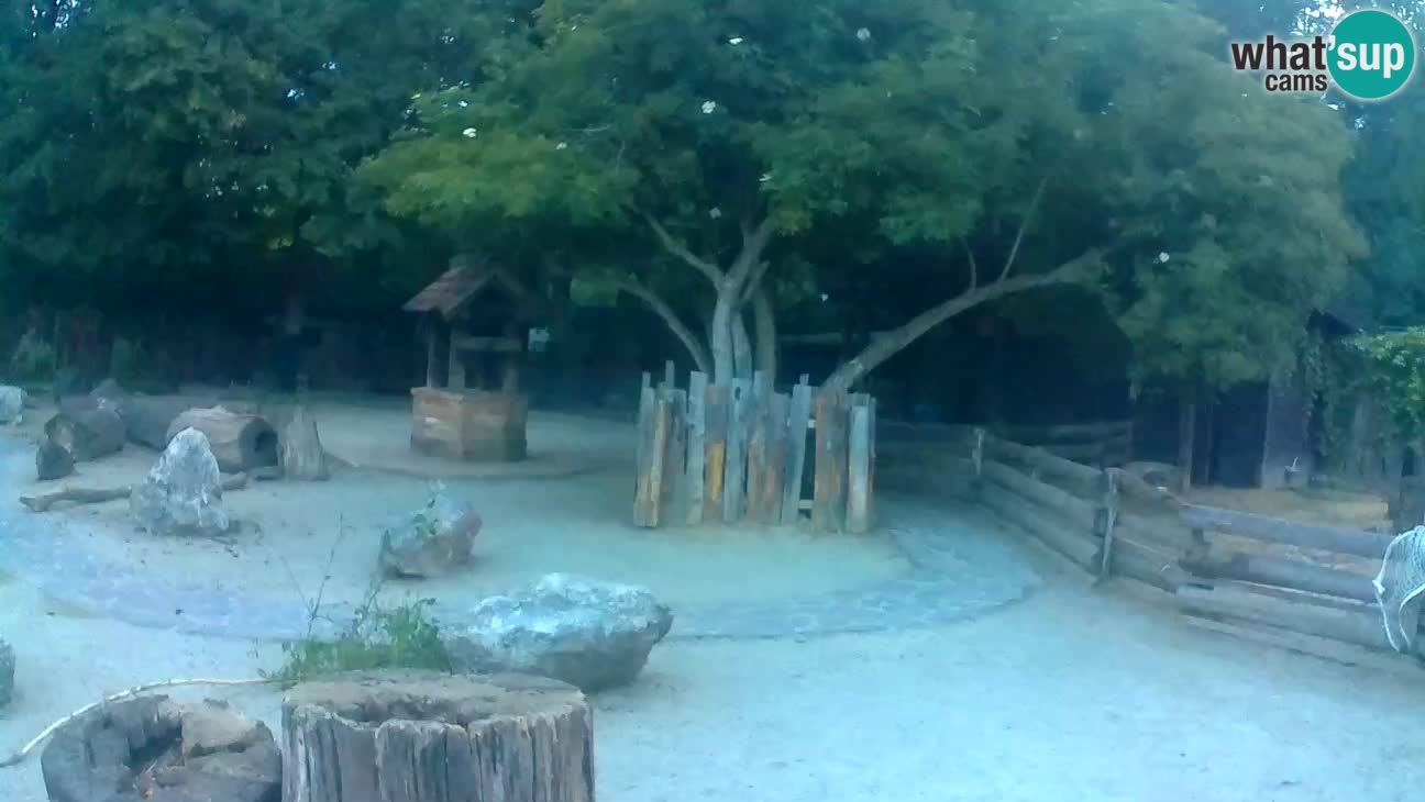 Zoo Zagreb – Cebo dai cornetti