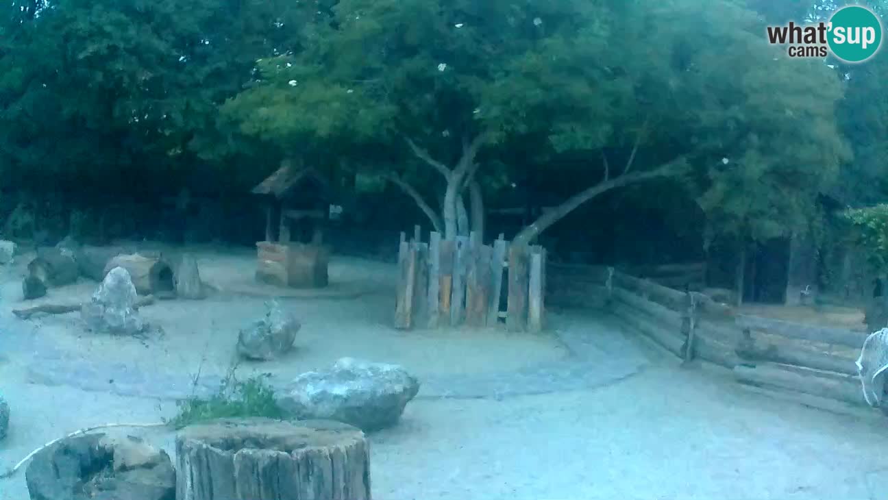 Zoo Zagreb –  Mono maicero