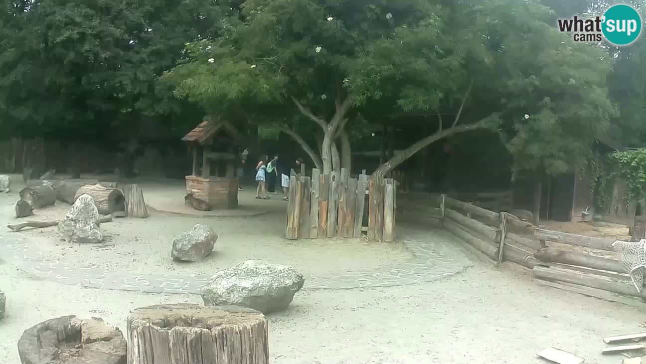 Zoo Zagreb – Cebo dai cornetti