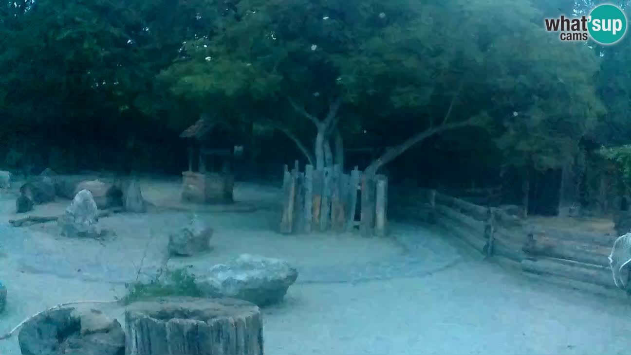Zoo Zagreb –  Mono maicero