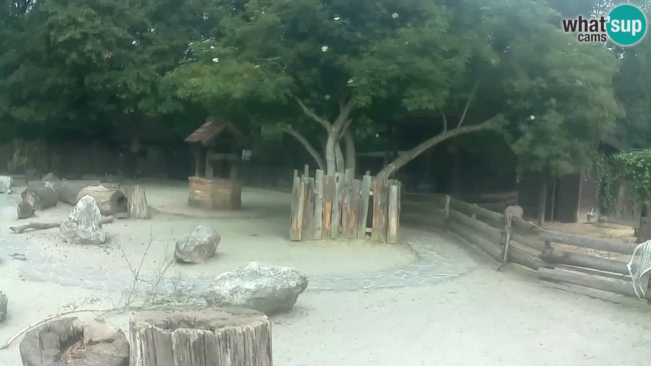 Zoo Zagreb –  Mono maicero