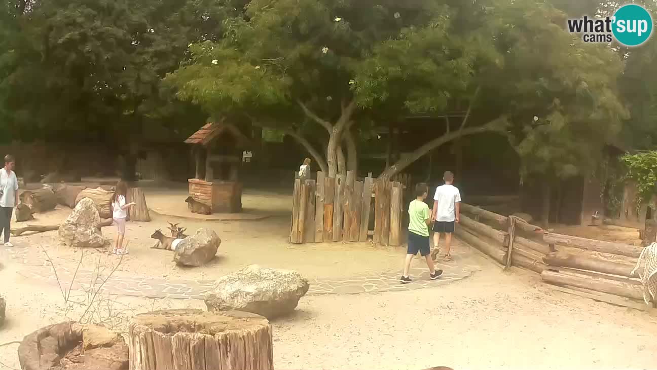 Zoo Zagreb – Cebo dai cornetti