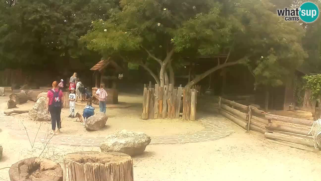Zoo Zagreb –  Mono maicero