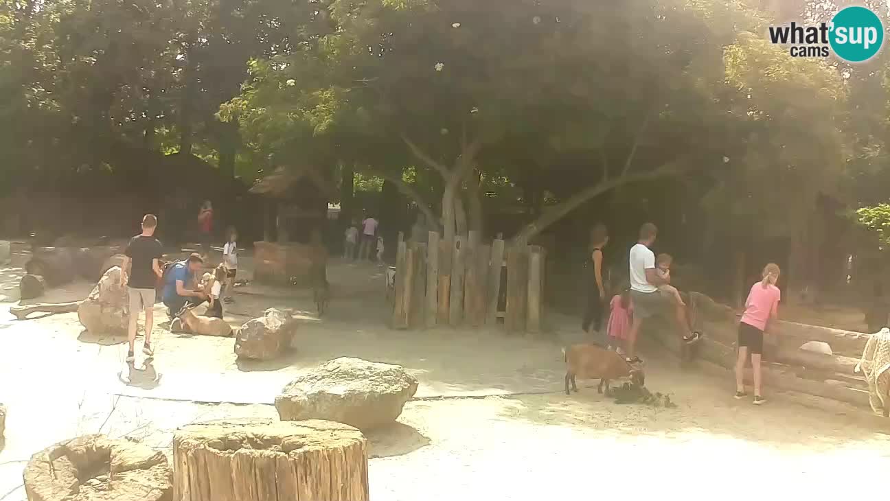 Zoo Zagreb – Cebo dai cornetti